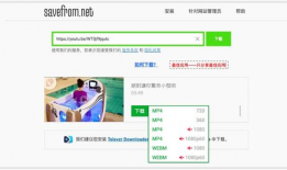 视频解析网站,一键获取海量视频资源
